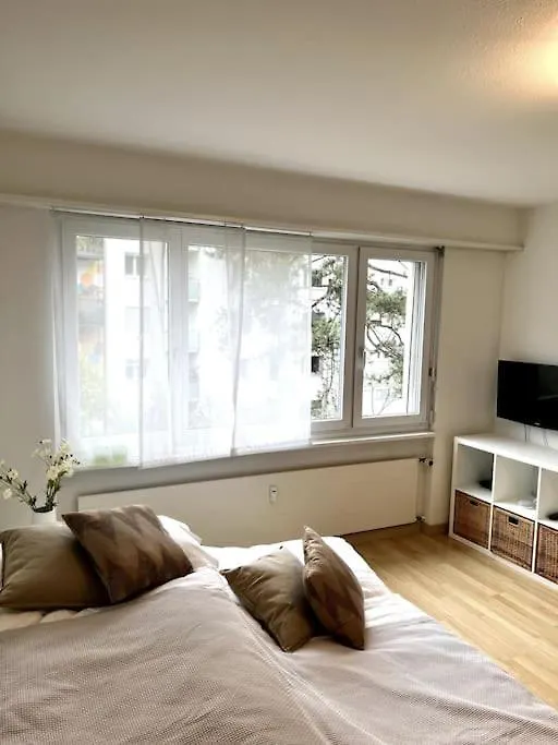 Daire Gemutliche Wohnung Nahe Rhein Basel